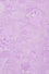 Banned Alternative BFF Mesh Long Oversized Top Goth in Lilac