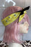 Kitty Deluxe Reversible Wired Headband in Bee Print & Customisable Reverse