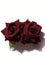 Kitty Deluxe Double Velvet Rose Hair Accessory in Burgundy Deep Blood Red