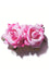 Kitty Deluxe Double Velvet Rose Hair Accessory in Light Pink
