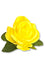 Fabric Rose Clip/Brooch in Bright Yellow
