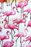 Kitty Deluxe Reversible Wired Headband in Flamingo Print & Customisable Reverse