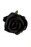 Kitty Deluxe Velvet Rose Clip/Brooch in Black