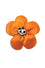 Krazy Daisy in Orange
